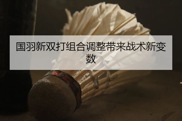 国羽新双打组合调整带来战术新变数